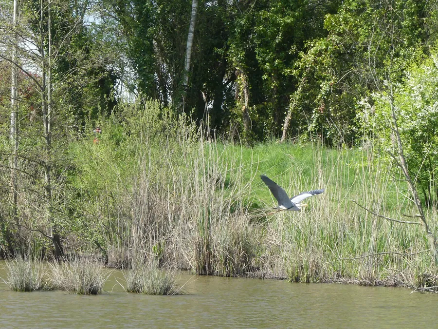 Au fil de l'eau